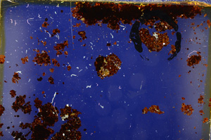 Cross Polarized, E20015