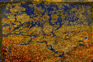 Cross Polarized, E20016