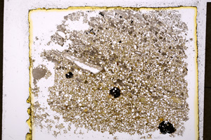 Plane Polarized, E20017