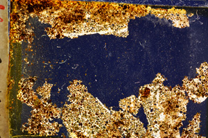 Cross Polarized, E20020