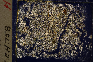 Cross Polarized, E20021/A