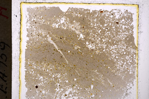 Plane Polarized, E20022