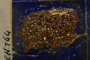 Cross Polarized, E20027