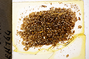 Plane Polarized, E20027