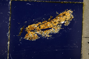 Cross Polarized, E20029