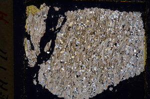 Cross Polarized, E20034