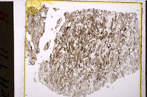 Plane Polarized, E20034