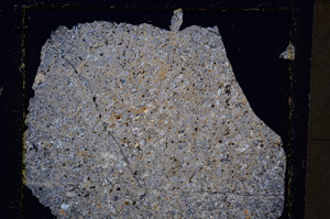 Cross Polarized, E20044