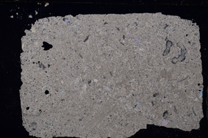 Cross Polarized, E20049