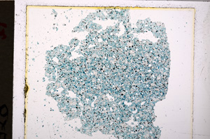 Plane Polarized, E20065/A