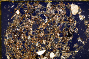 Cross Polarized, E20066