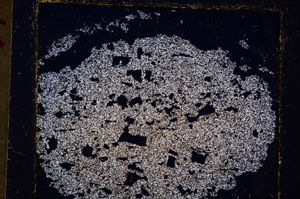 Cross Polarized, E20068