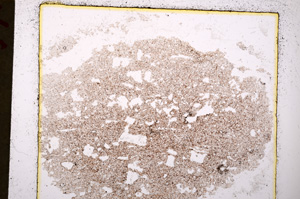 Plane Polarized, E20068