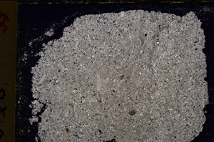 Cross Polarized, E20081