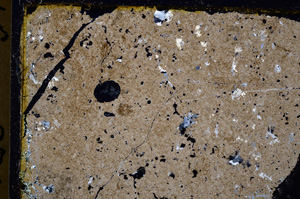 Cross Polarized, E20088