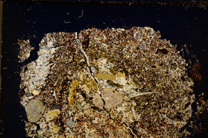 Cross Polarized, E20101