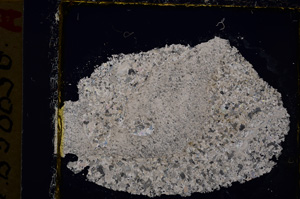 Cross Polarized, E20107