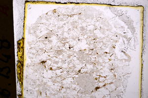 Plane Polarized, E20135