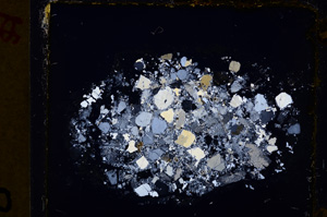 Cross Polarized, E20137