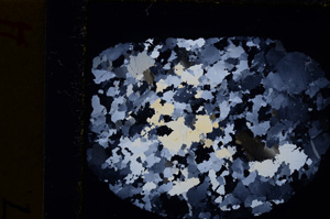 Cross Polarized, E20139