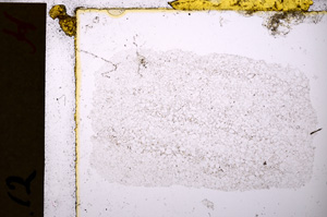 Plane Polarized, E20141