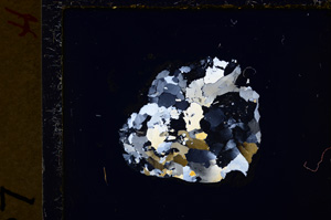 Cross Polarized, E20148