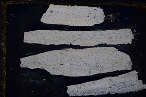 Cross Polarized, E20151