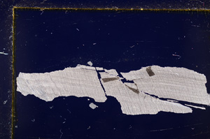 Cross Polarized, E20152