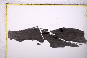 Plane Polarized, E20152