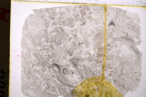 Plane Polarized, E20167