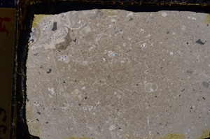 Cross Polarized, E20174