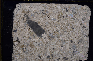 Cross Polarized, E20189