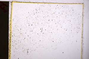 Plane Polarized, E20197