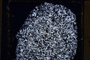 Cross Polarized, E20199