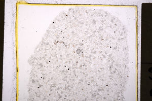 Plane Polarized, E20199