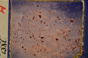 Cross Polarized, E20200
