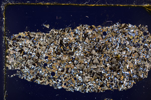 Cross Polarized, E20204