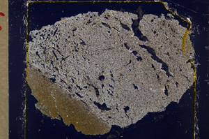 Cross Polarized, E20205