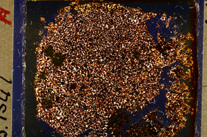 Cross Polarized, E20209