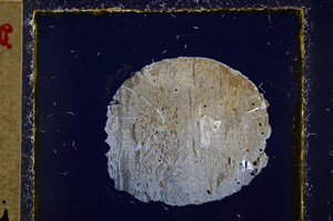 Cross Polarized, E20227