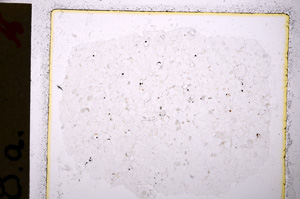 Plane Polarized, E20231