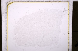 Plane Polarized, E20232
