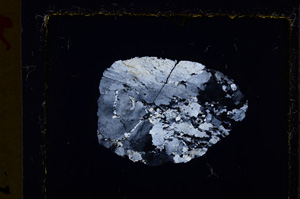 Cross Polarized, E20233