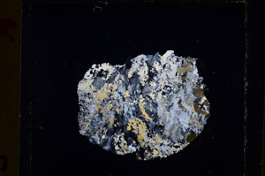 Cross Polarized, E20234