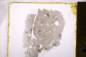 Plane Polarized, E20235