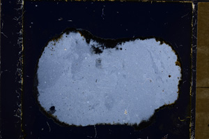 Cross Polarized, E20239