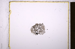 Plane Polarized, E20243