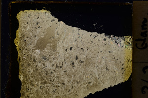 Cross Polarized, E20250