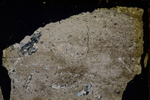 Cross Polarized, E20251