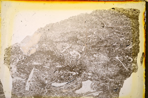 Plane Polarized, E20251